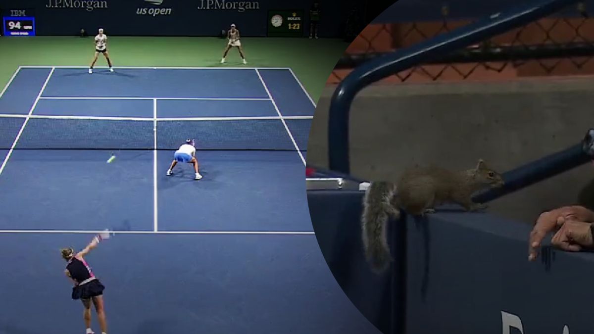 Белка выбежала на корт в парном матче US Open-2023 - забавное видео