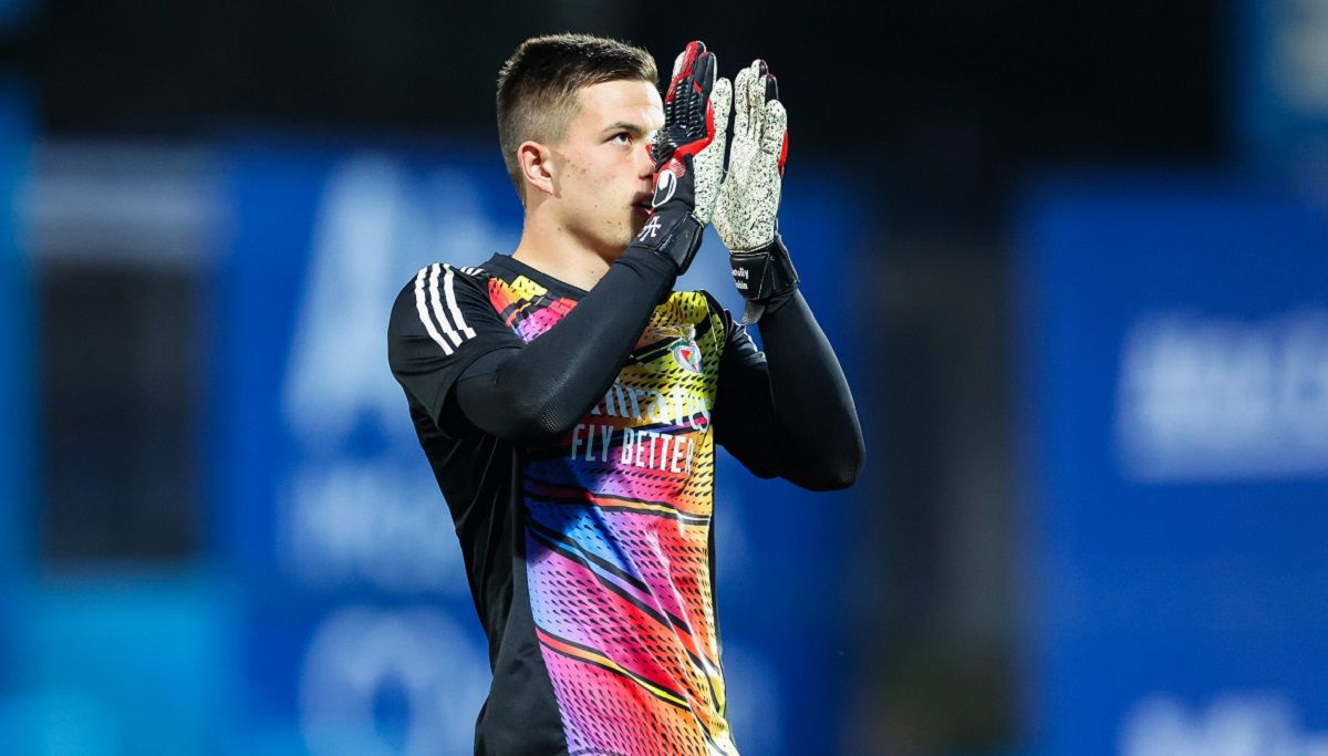 Бенфіка Зальцбург - Анатолій Трубін привіз пенальті у Лізі чемпіонів - відео Бенфіка Зальцбург - Анатолій Трубін привіз пенальті у Лізі чемпіонів - відео