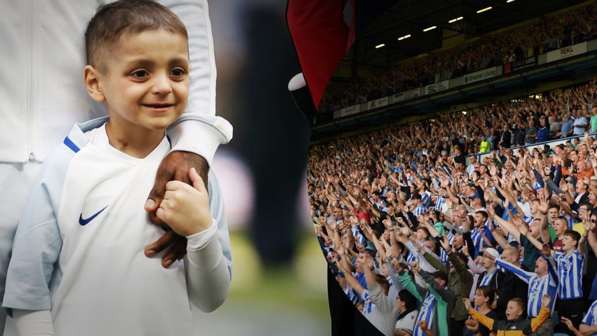 Фанаты Шеффилд Венсдей насмехались со смерти ребенка Фанаты Шеффилд Венсдей насмехались со смерти ребенка