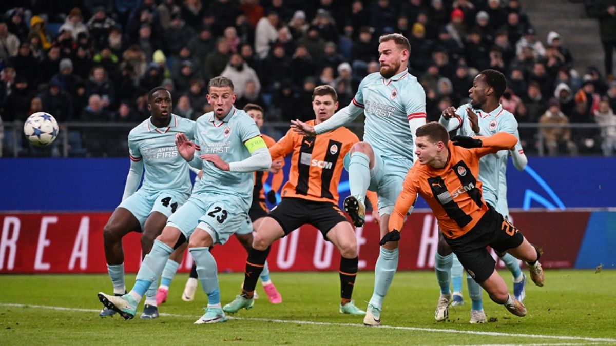 Шахтер Антверпен – видео гола Николая Матвиенко – Лига чемпионов 2023-2024 Шахтер Антверпен – видео гола Николая Матвиенко – Лига чемпионов 2023-2024