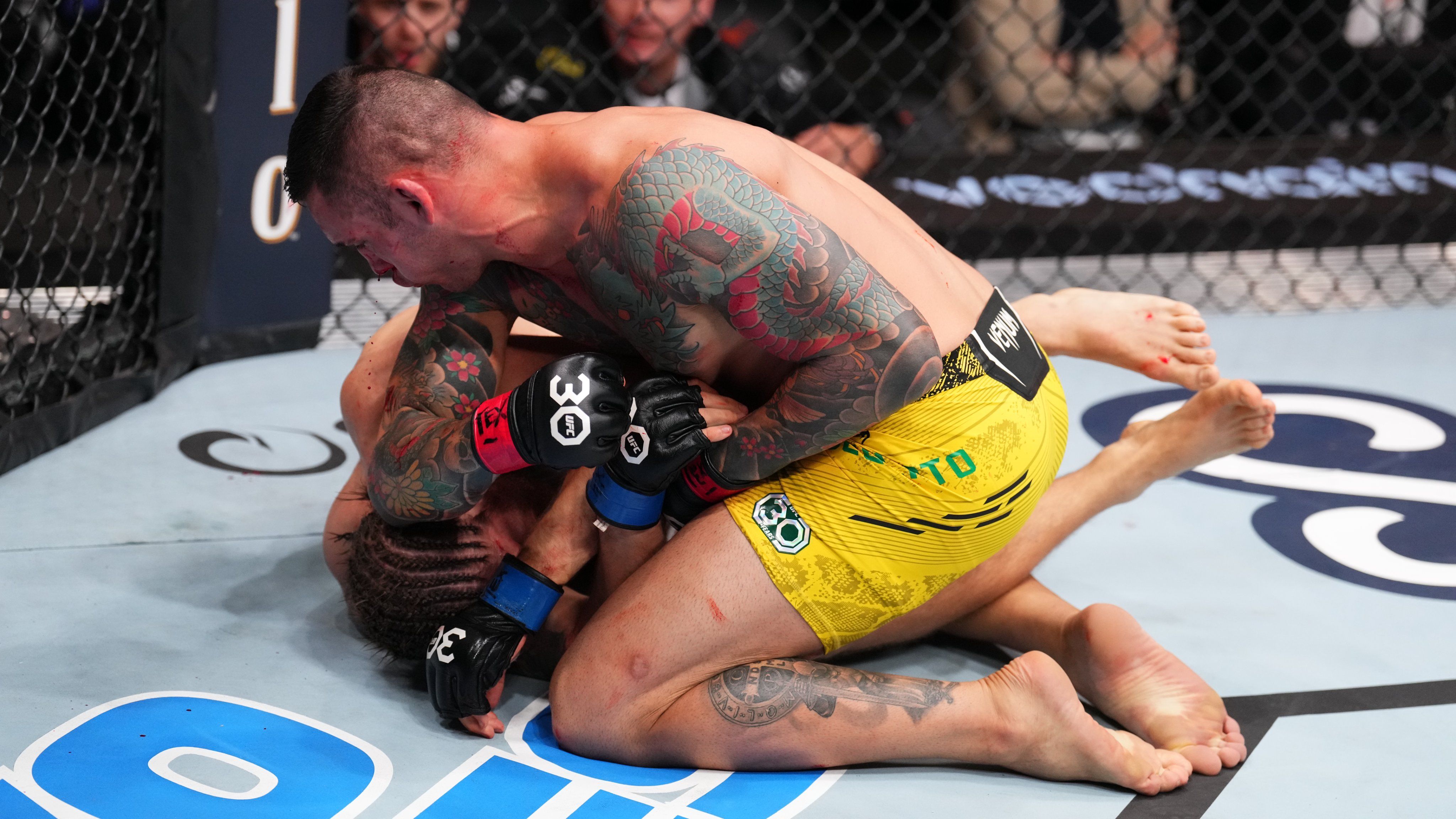 Український боєць Потеря програв нокаутом у бою з дебютантом UFC: відео - 24 канал Спорт