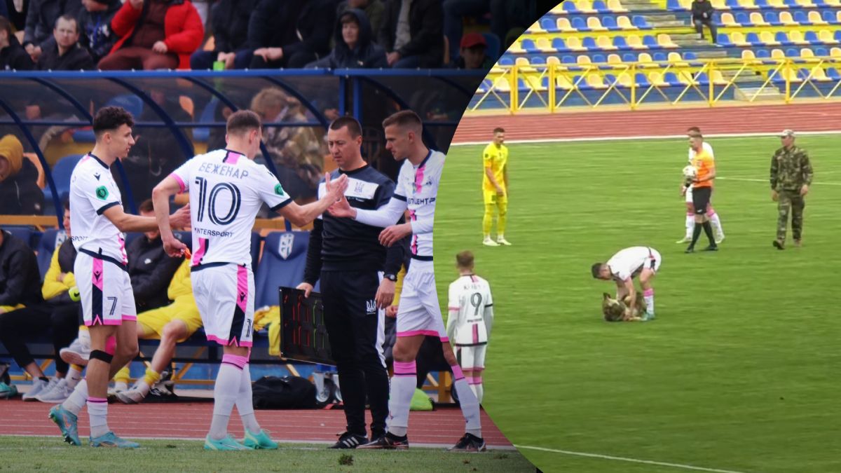 Пес выбежал на поле во время матча Первой лиги Украины Эпицентр - Левый берег - видео
