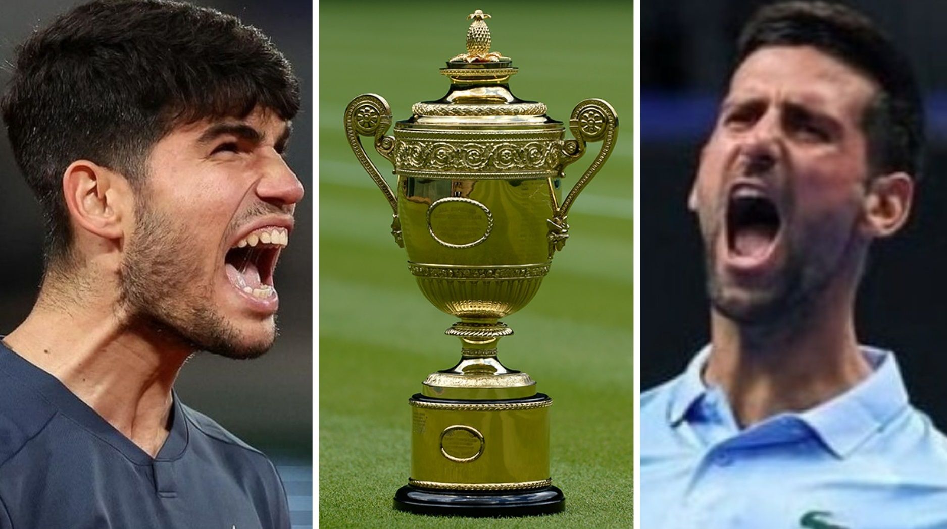 Карлос Алькарас – Новак Джокович прогноз букмекеров на Уимблдон 2024 Карлос Алькарас – Новак Джокович прогноз букмекеров на Уимблдон 2024