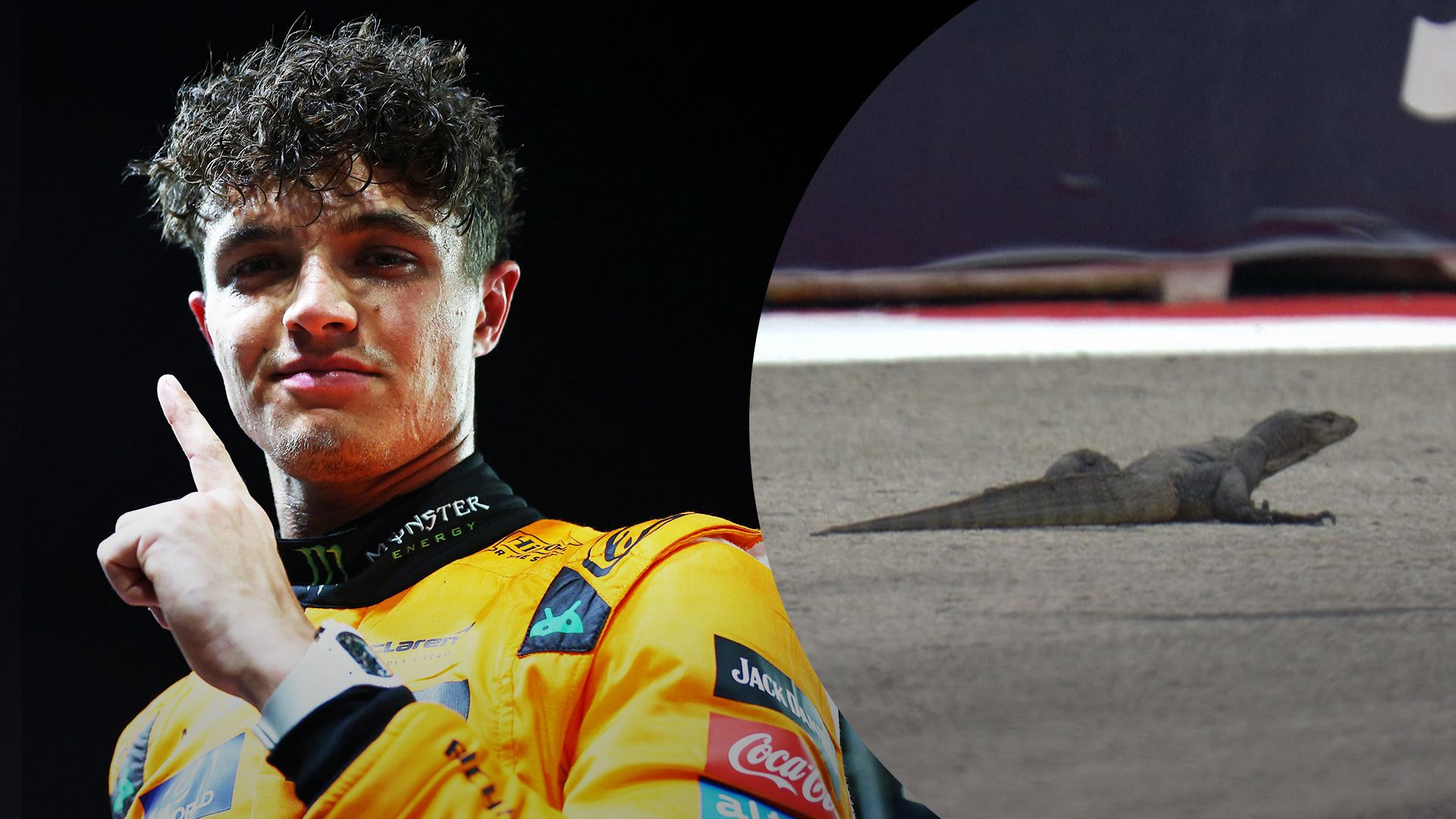 Ящірка не завадила Лендо Норрісу виграти кваліфікацію гран-прі Сингапуру Ящірка не завадила Лендо Норрісу виграти кваліфікацію гран-прі Сингапуру